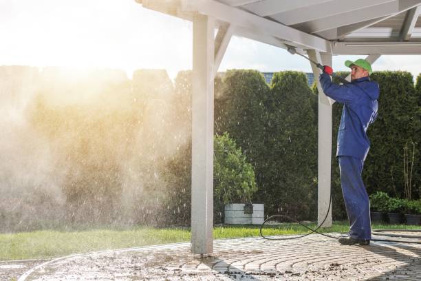 Best Driveway Pressure Washing  in Franklin Lakes, NJ