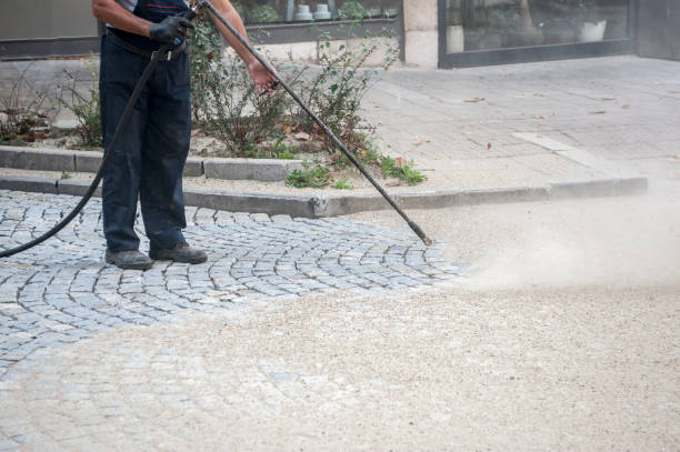 Best Roof Washing  in Franklin Lakes, NJ